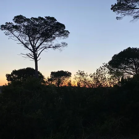 Quinta Casal Da Eva 알코바카